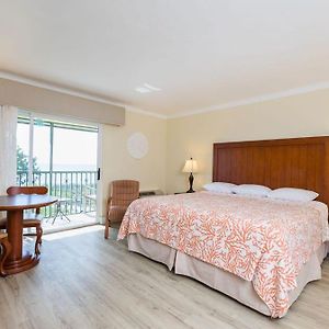 King Room Garden View